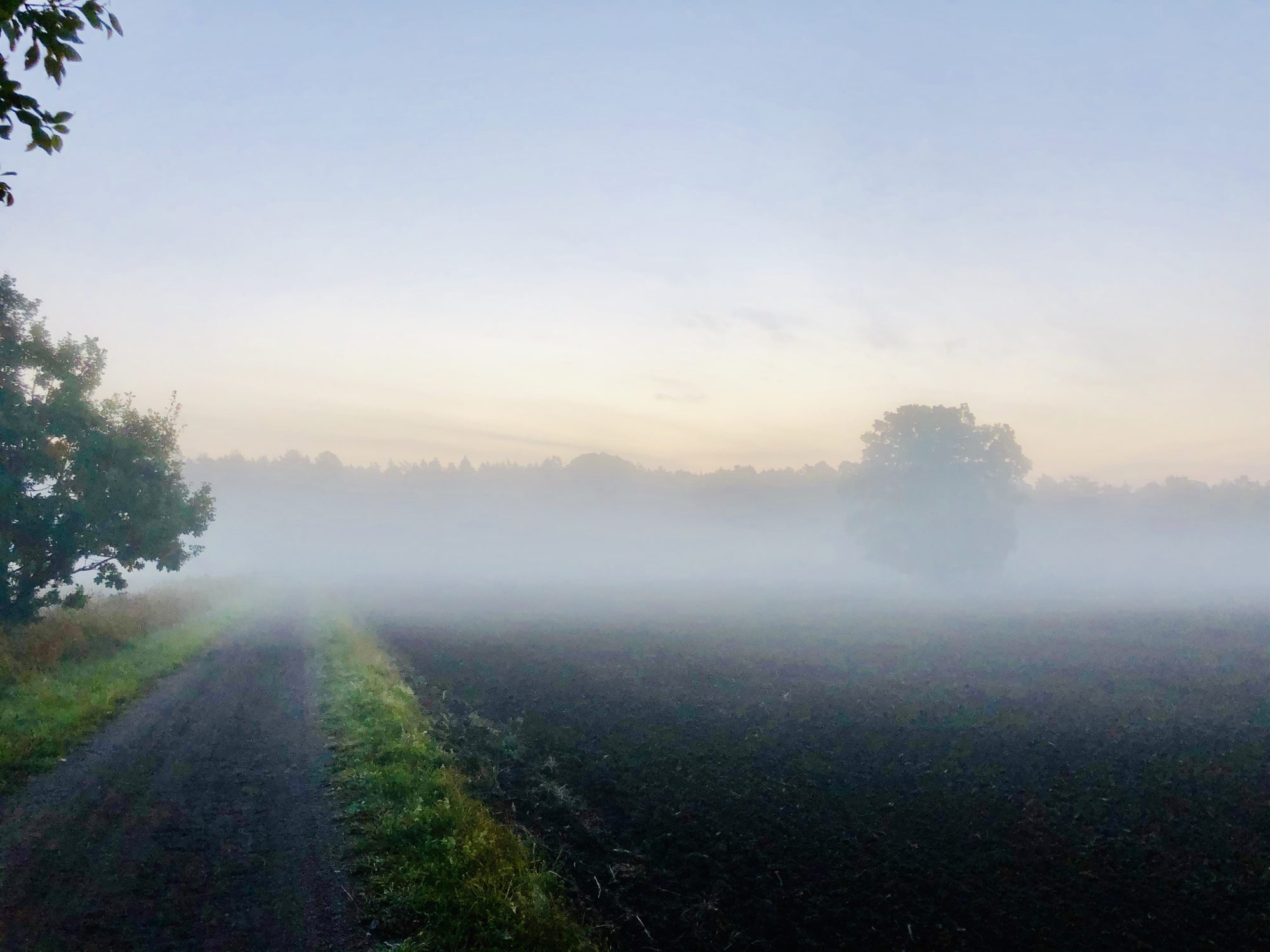 Meditativ löpning på morgonen