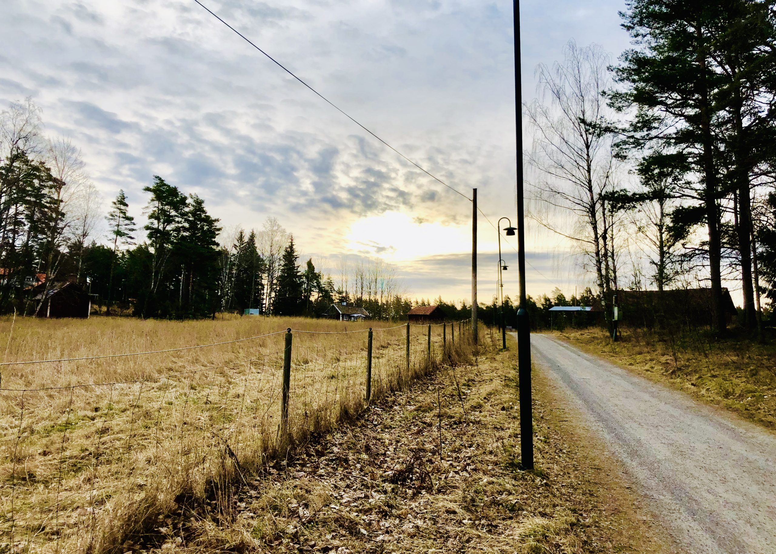 Stresshantering i kris - min medicin i form av löpning i skogen