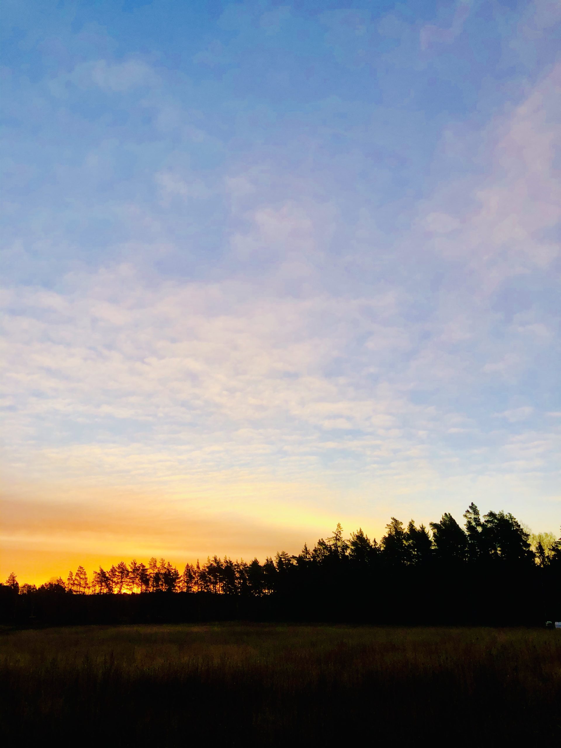 img_9473-scaled - Veckans bästa ♥