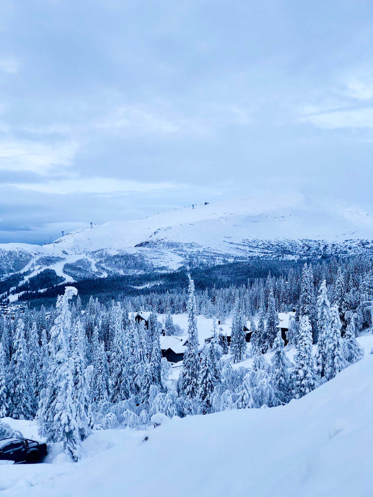 Jag springer för Terese - Åre Björnen löpning