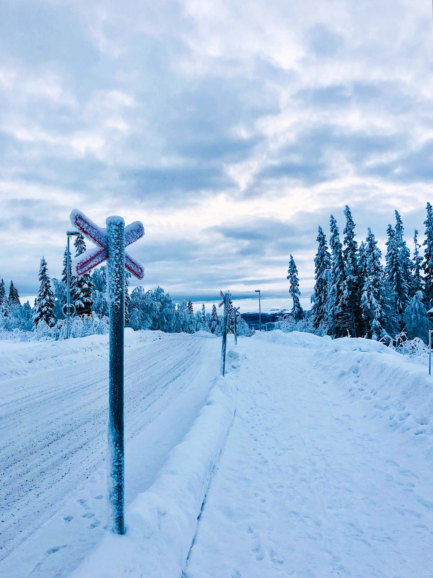 Jag springer för Terese - Åre Björnen löpning