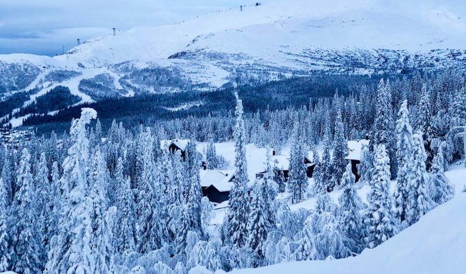 jag-springer-for-terese-i-are