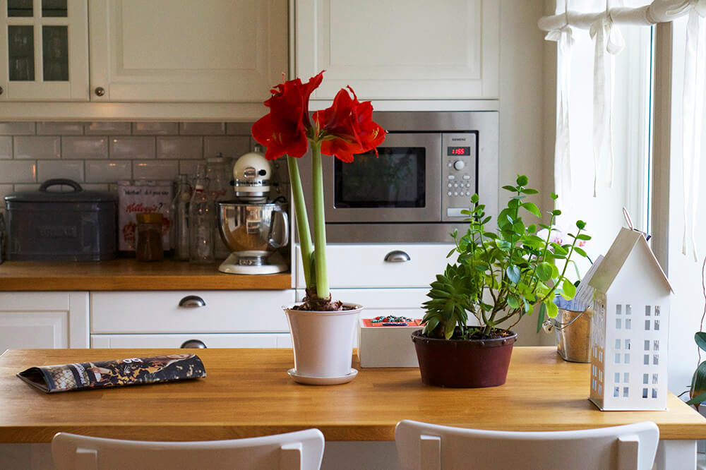 Blommor och julgransplundring