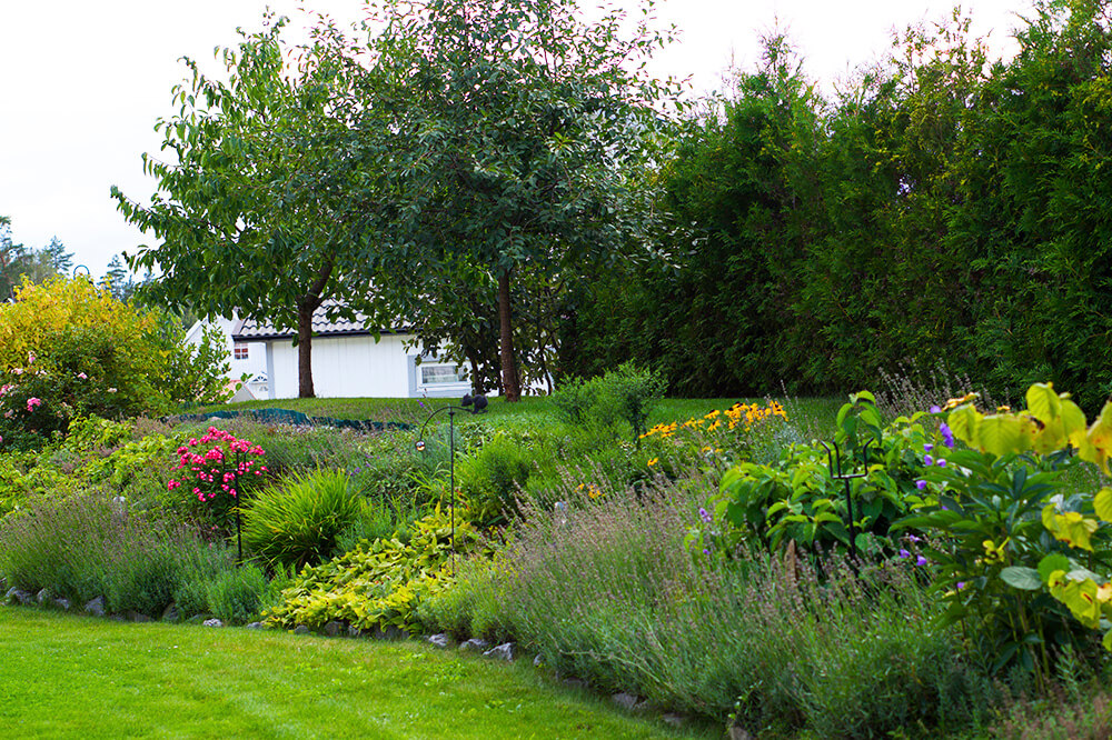 Karin Axelsson i trädgården