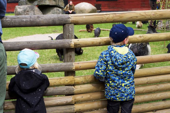 Kolmårdens djurpark