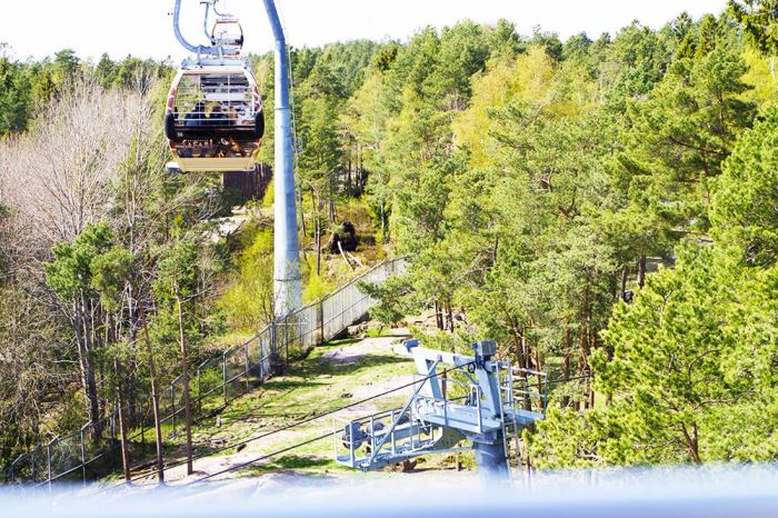 Kolmårdens djurpark