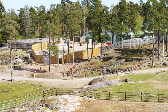 Kolmårdens djurpark