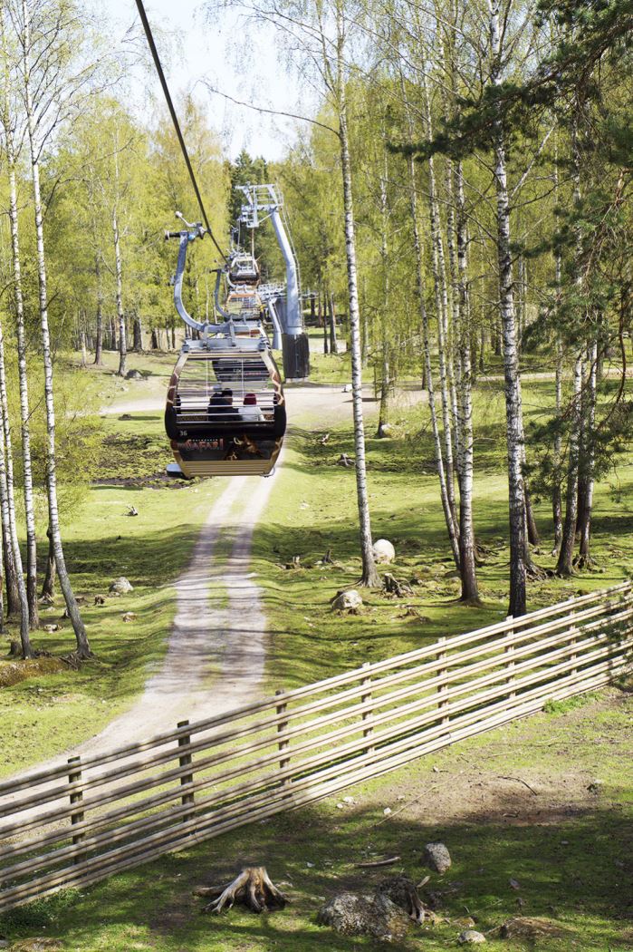 Kolmårdens djurpark