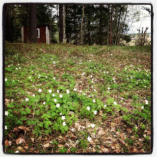 konditionstraning-2 - Ett pass med varierad konditionsträning