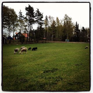 konditionstraning-3 - Ett pass med varierad konditionsträning