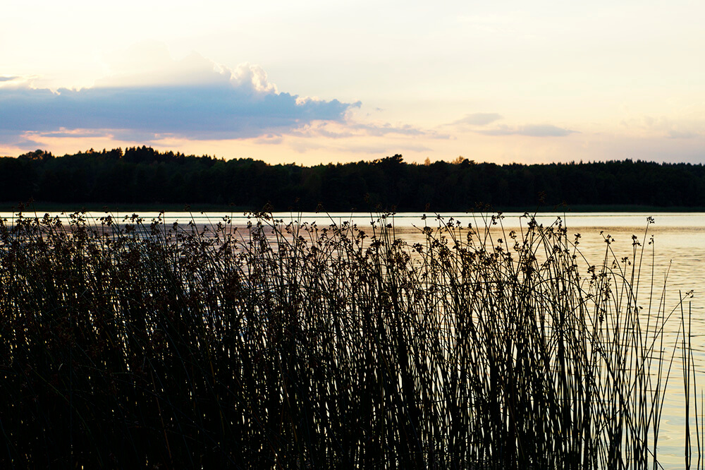 Kvällsdopp i Lejondalssjön