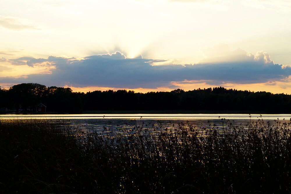 Kvällsdopp i Lejondalssjön