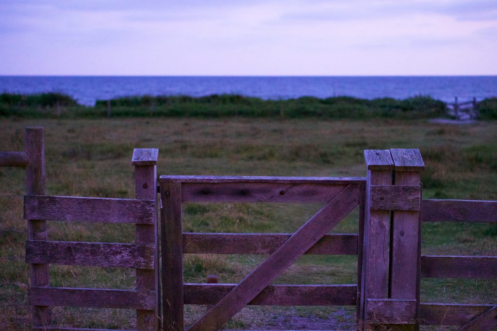 Kvällspromenad vid havet i Ugglarp