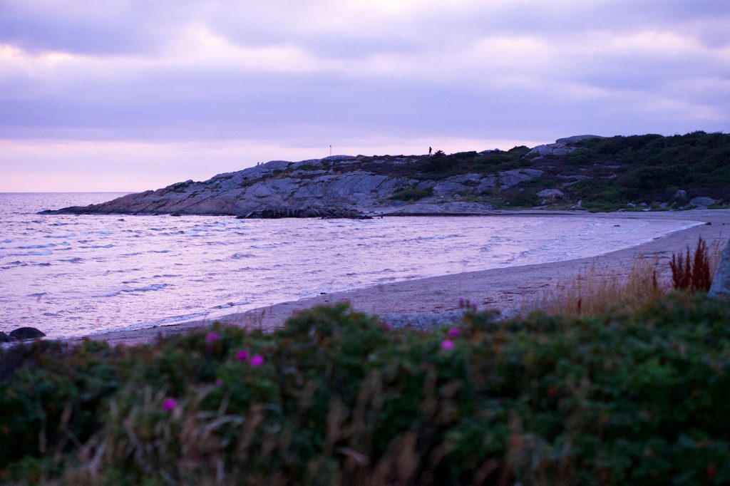 Kvällspromenad vid havet i Ugglarp