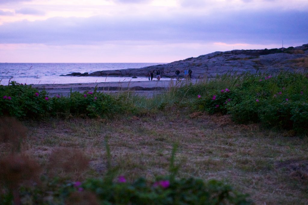 Kvällspromenad vid havet i Ugglarp