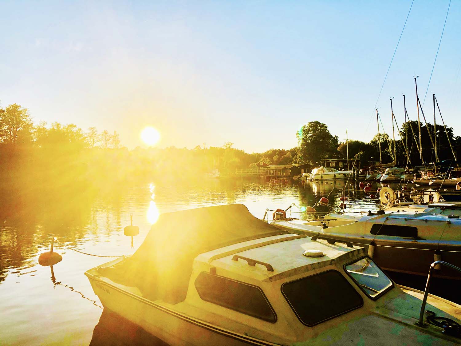 Ljuvliga ljumma sommarkvällar