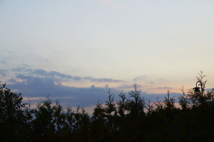 ljuvliga-sommarkvallar-7