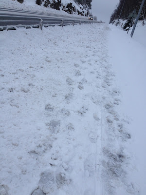 longpass-lopning-275-km-4 - Nytt distans-PB i löpning!