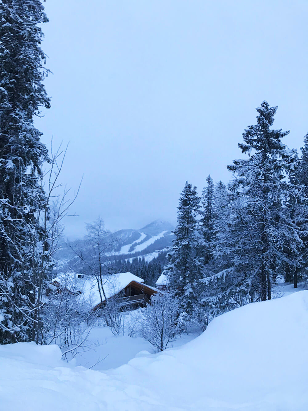 Åre Björnen vinterlöpning i backen