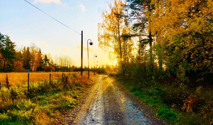 lopning-hostmorgon-1