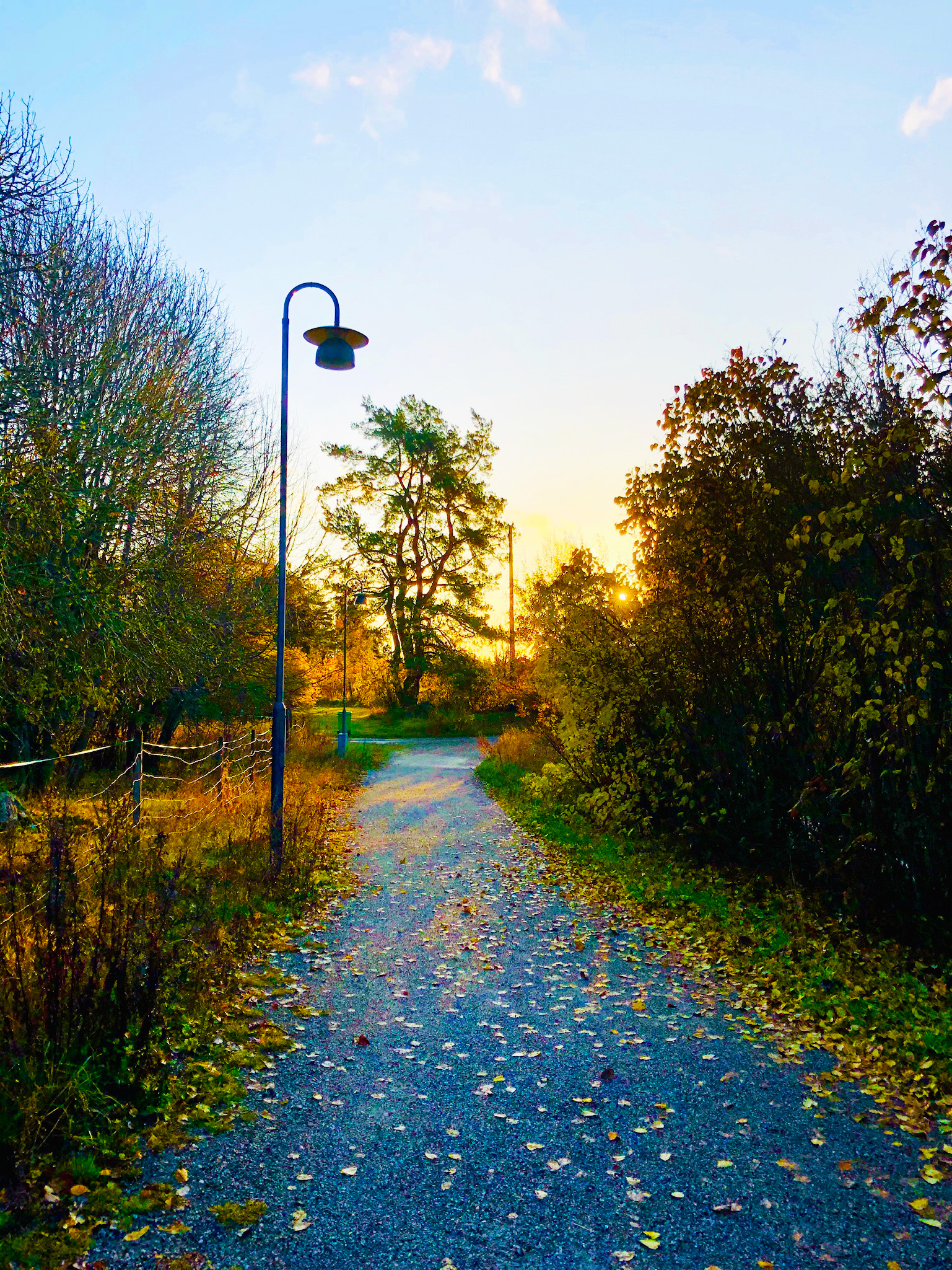 Löpning en lördagsmorgon på hösten