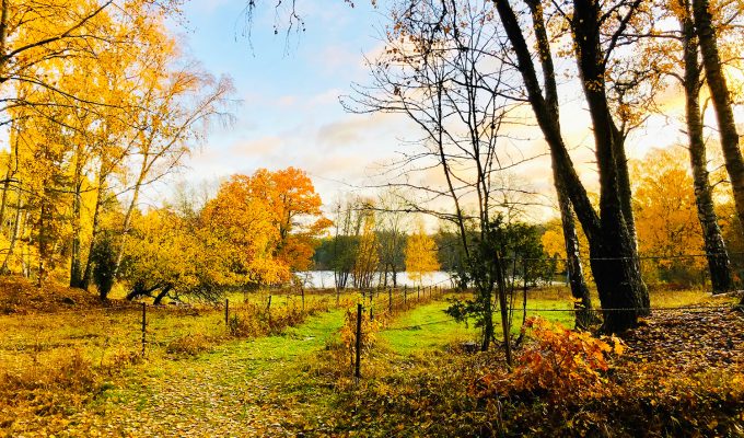 Oktober - Tjusningen i varje årstid