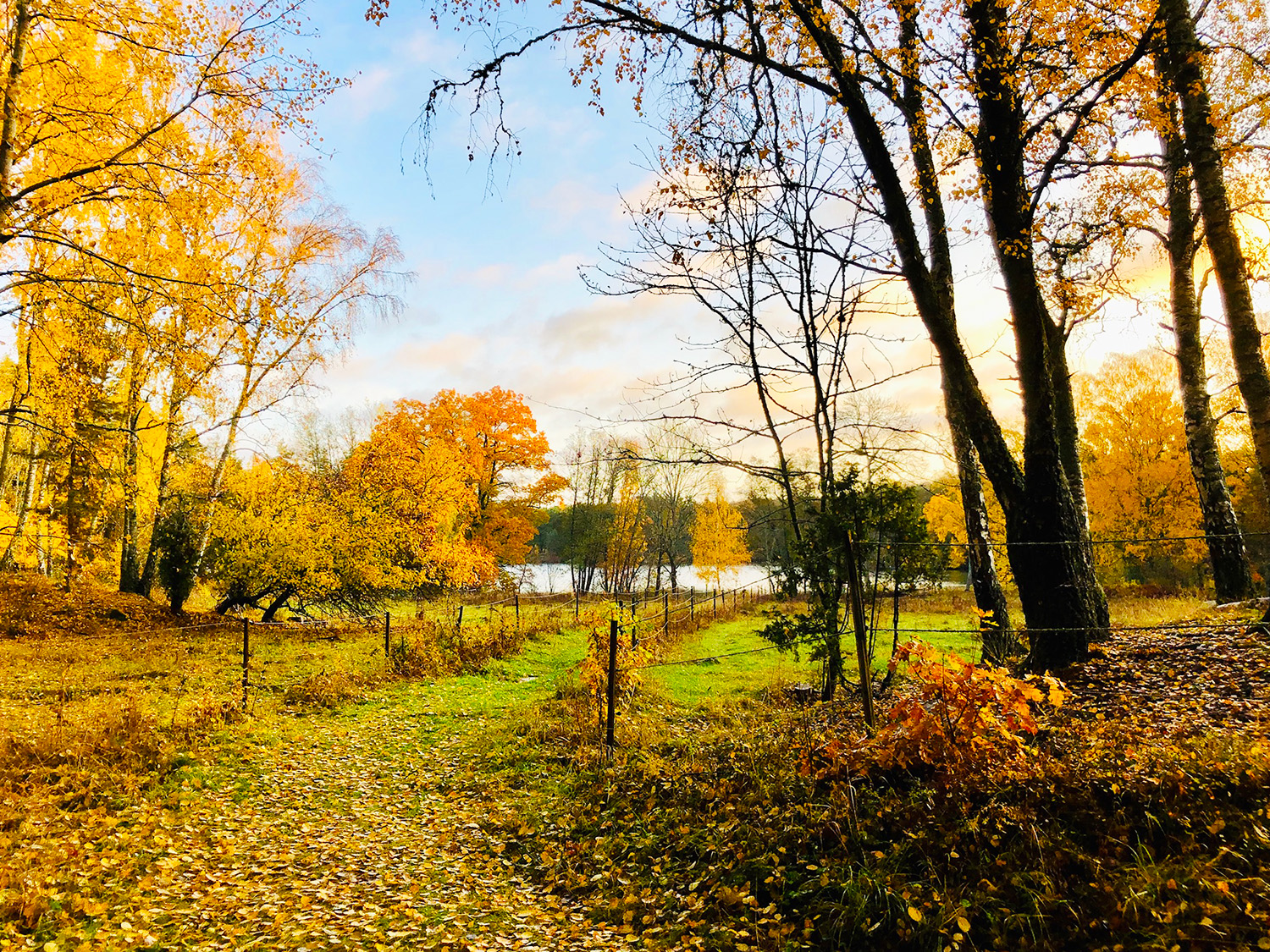 Löpning en lördagsmorgon på hösten