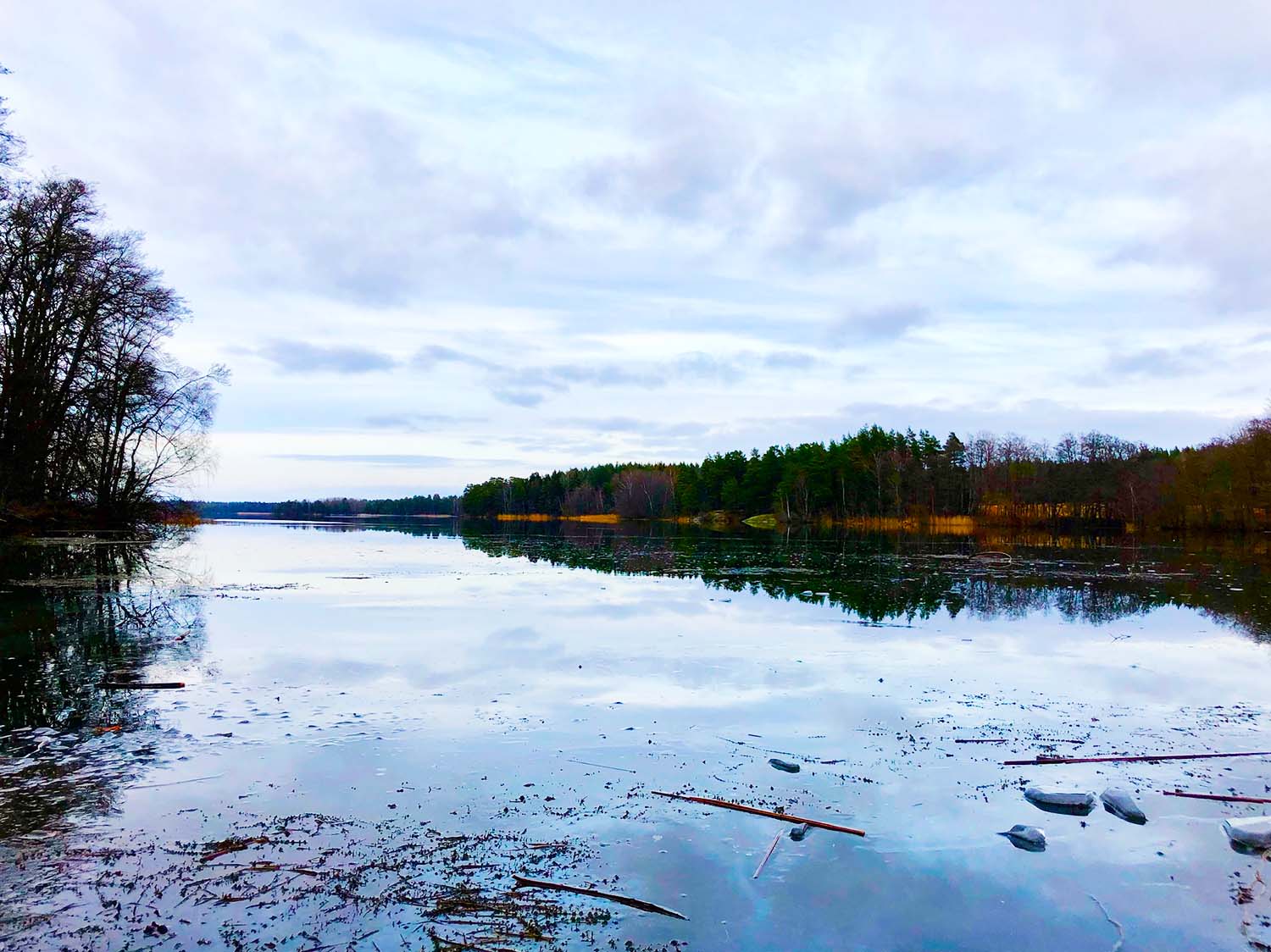 Löpning till Lejondalssjön