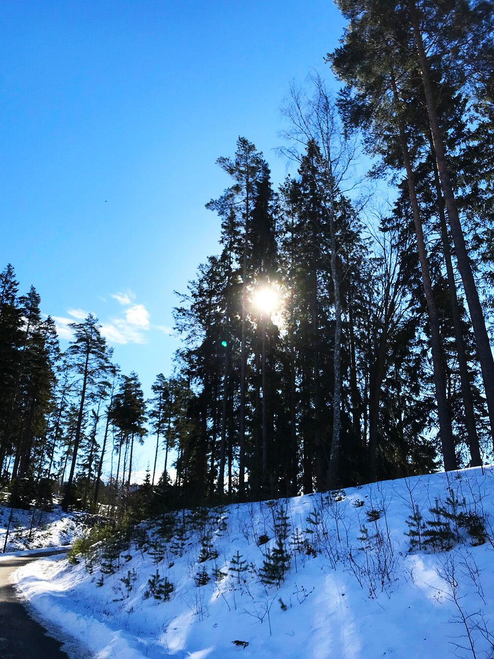 Löpning långpass