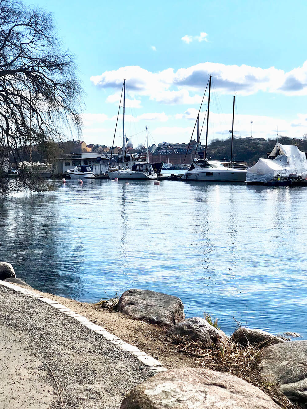 lopning-pa-varen-5 - När löpningen är som bäst