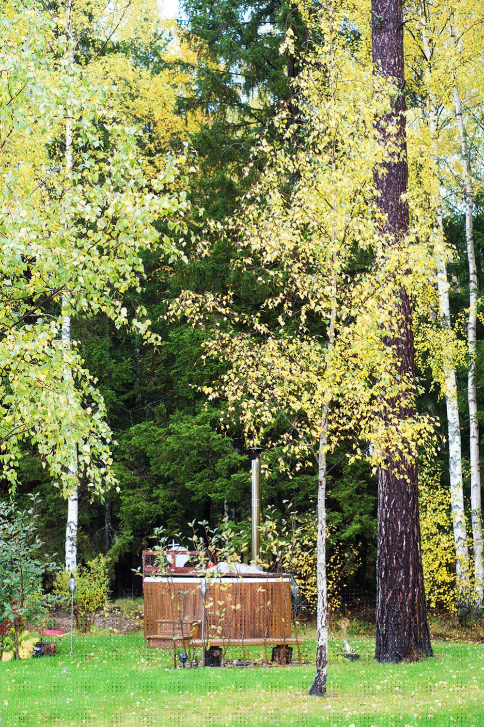 Trädgården på hösten