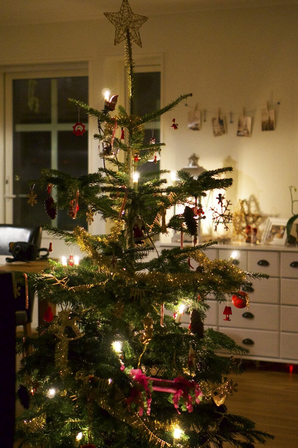 Julgranen klädd på Lucia