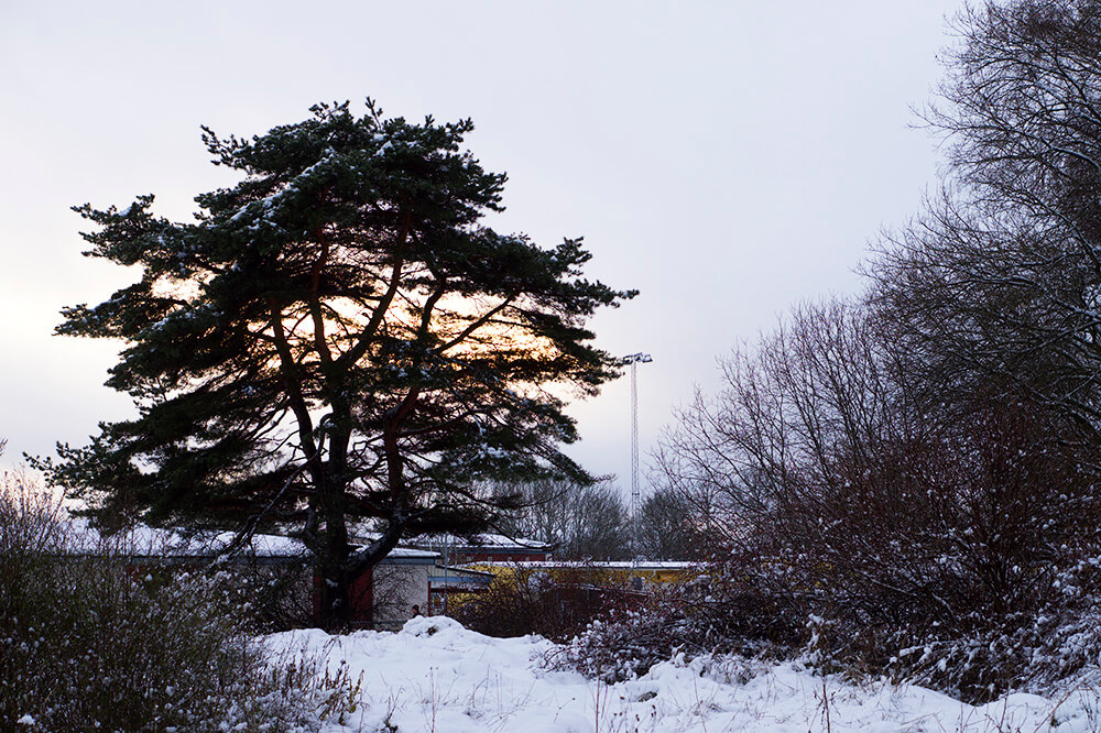 En fin lucia med snö