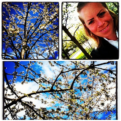 maj - Festligt och gott