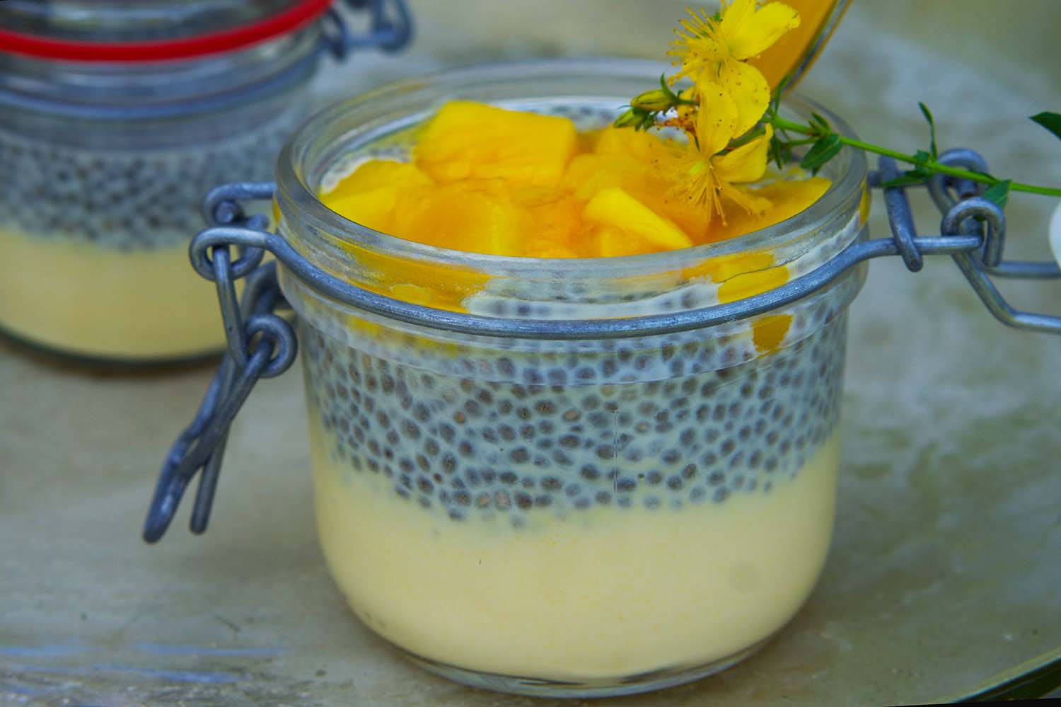 Mangochiapudding