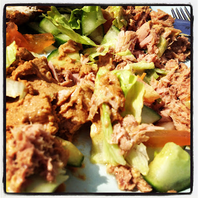 middag-tonfisk-och-hummus - Mina vardagsmiddagar