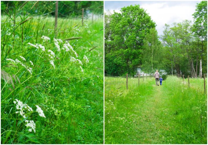 Familjen vid hästhage