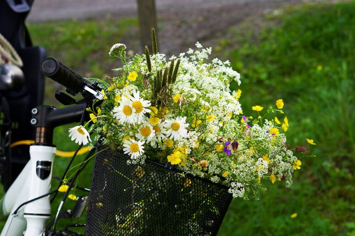 blommor i cykelkorg