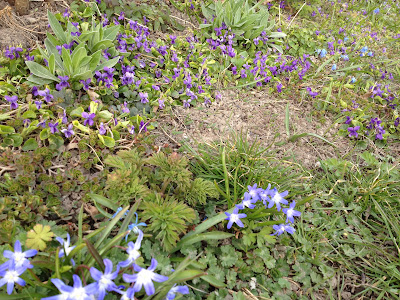 min-dag-i-bilder-28429 - Min dag i bilder