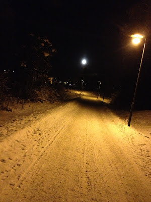 morgonlopning-1 - Dagens träning och utvärdering av 1000-utmaningen