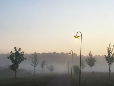 morgonlopning-dimma-4
