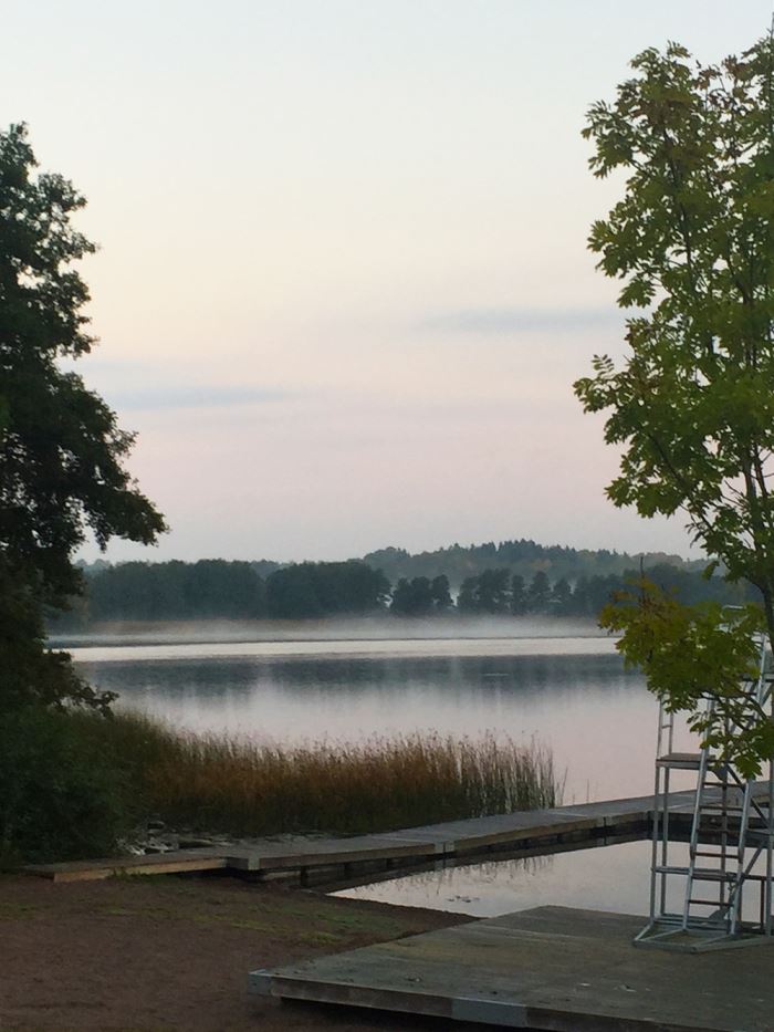 Morgonlöpning i dimma