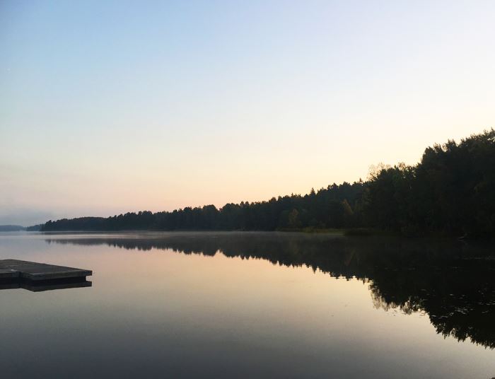Morgonlöpning i dimma