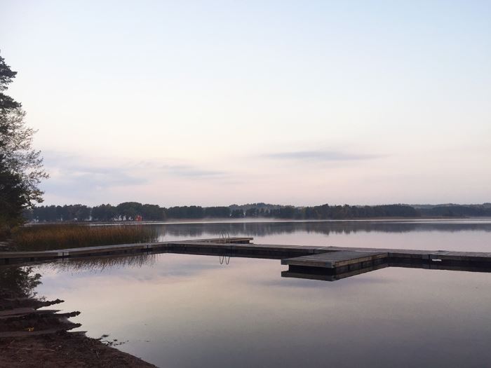 Morgonlöpning i dimma