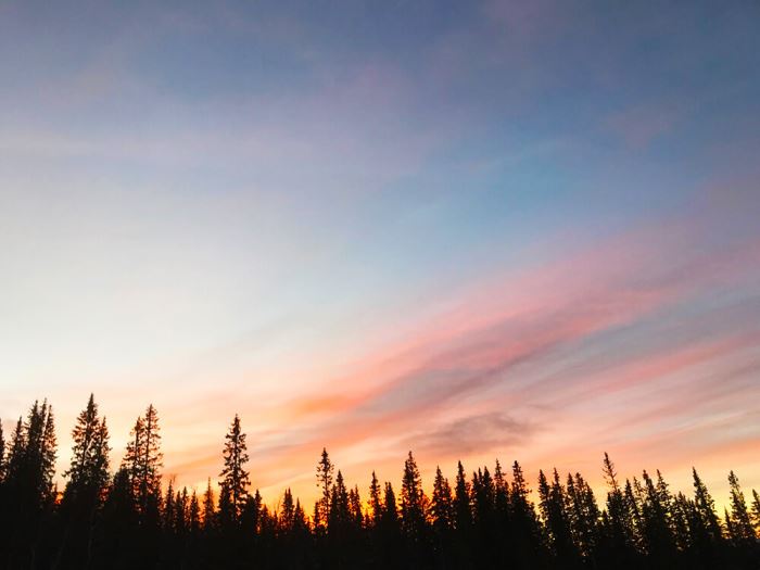 Morgonlöpning i backe med en rosa himmel som sällskap
