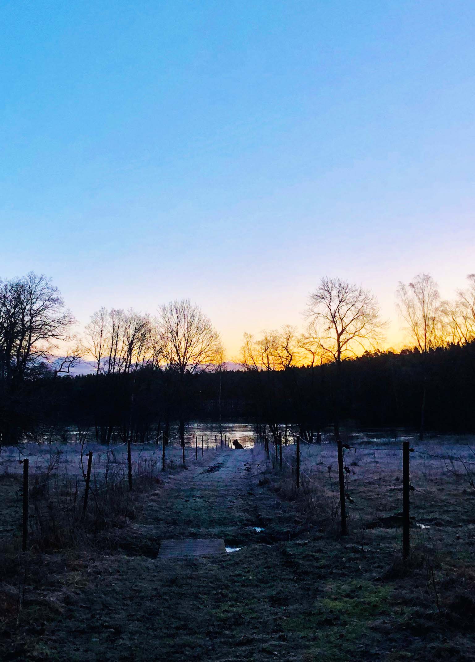 Morgonspring till sjön