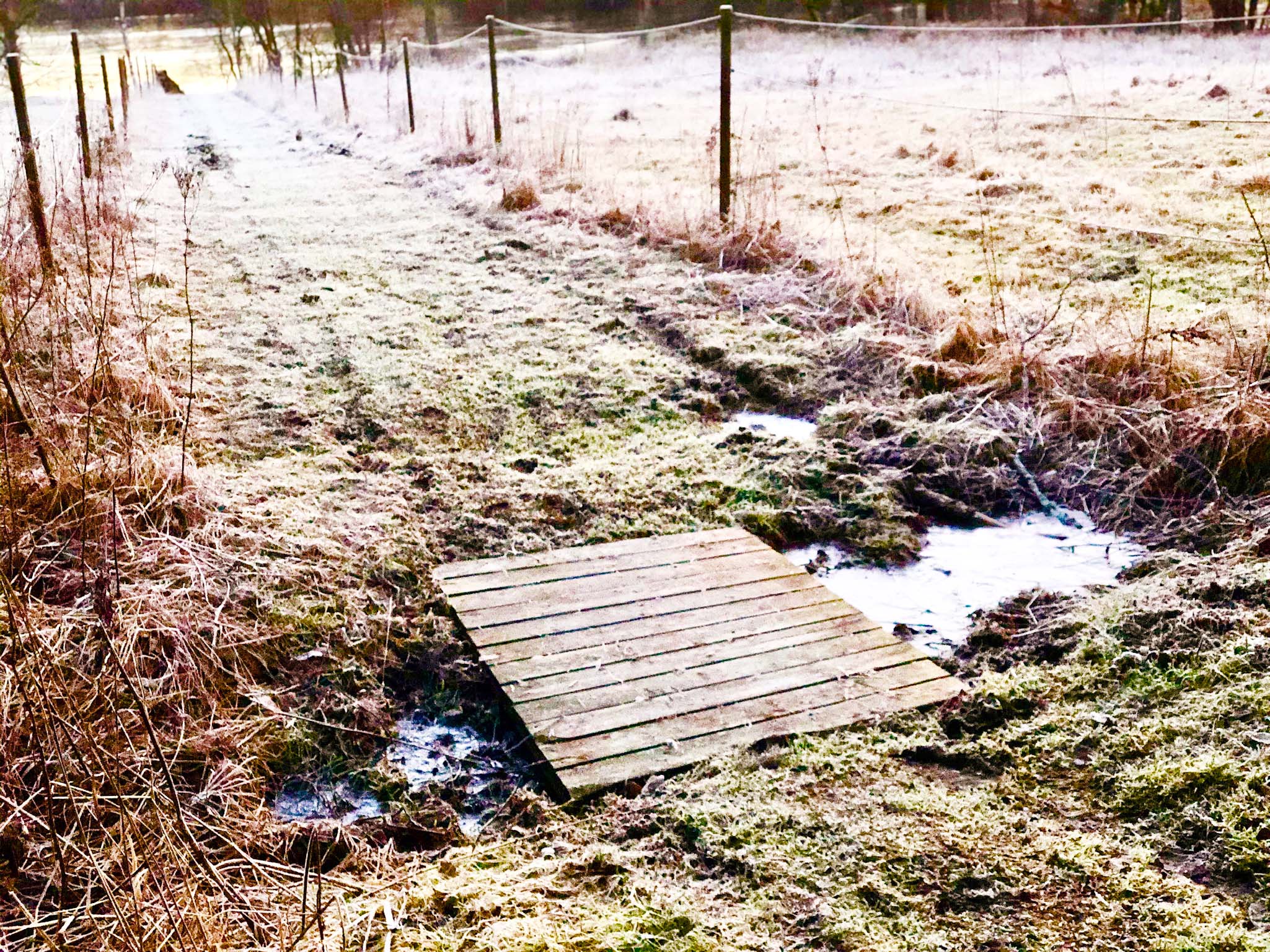 Morgonspring till sjön