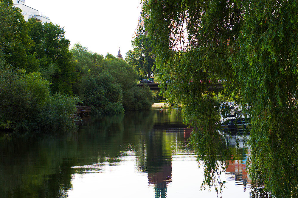morgonpromenad Kungsholmen Stockholm