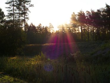 morgonsol-1