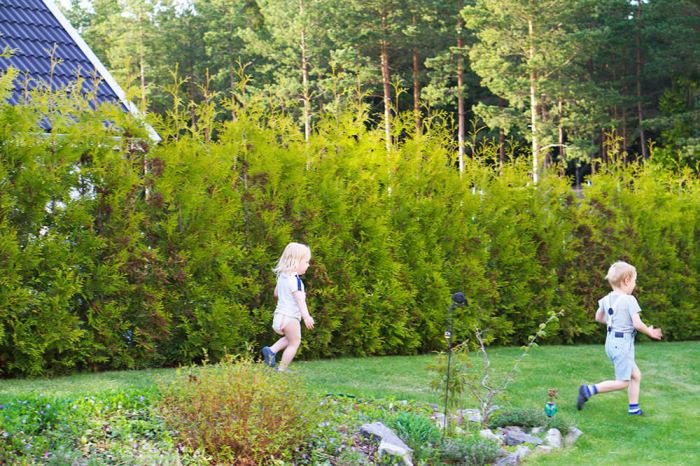 barn på trädgården